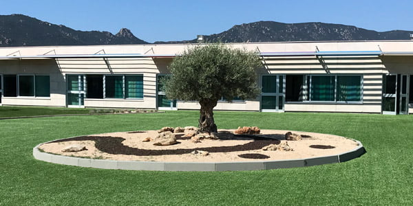 PRIMARIA E SECONDARIA I GRADO VILLASIMIUS